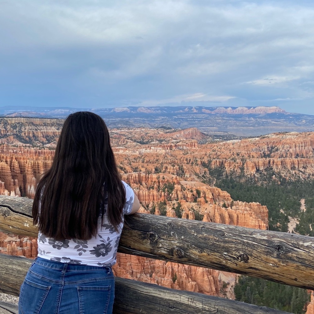 Meet your Posher, Annalise